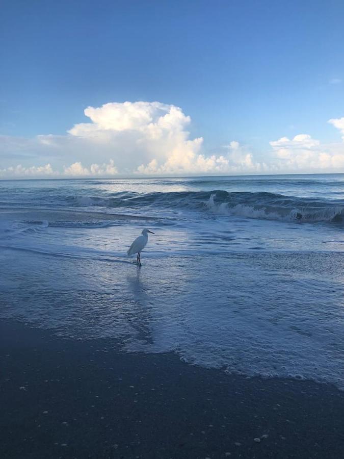Naples Dream At Wtc With Heated Pool Spa Sauna 7 Bicycles And 3 Mls To Beach エクステリア 写真